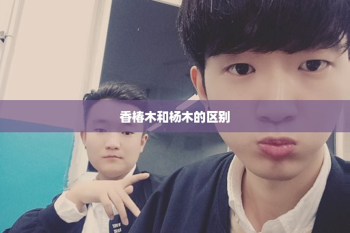 香椿木和杨木的区别