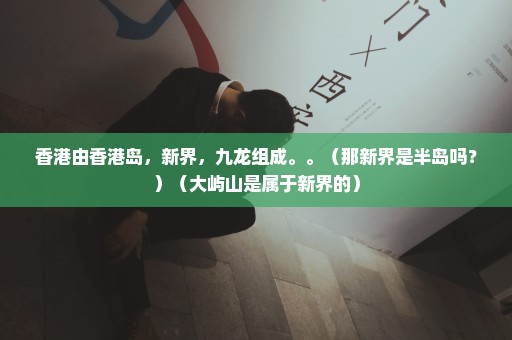 香港由香港岛，新界，九龙组成。。（那新界是半岛吗？）（大屿山是属于新界的）