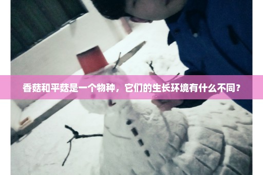 香菇和平菇是一个物种，它们的生长环境有什么不同？