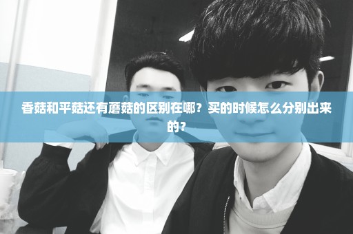 香菇和平菇还有蘑菇的区别在哪？买的时候怎么分别出来的？