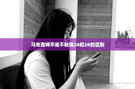 马克西姆平底不粘锅24和28的区别