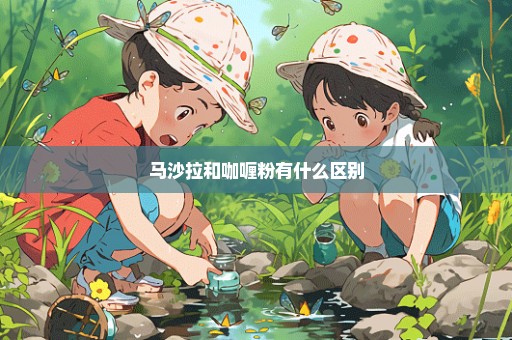 马沙拉和咖喱粉有什么区别