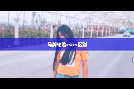 马牌轮胎csics区别