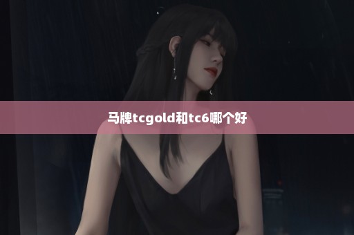 马牌tcgold和tc6哪个好
