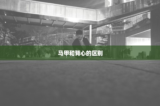 马甲和背心的区别