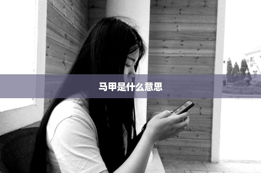 马甲是什么意思