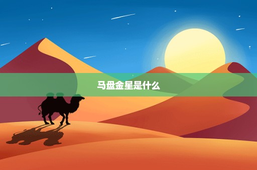 马盘金星是什么