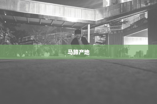 马蹄产地