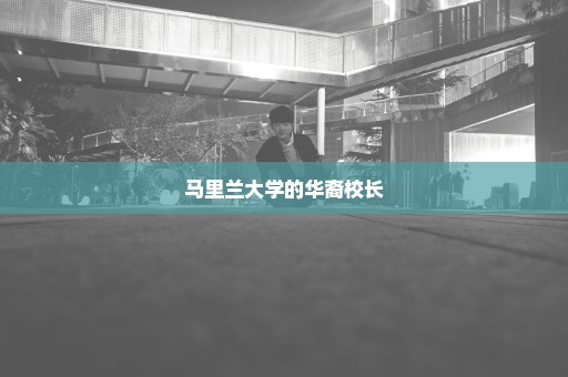 马里兰大学的华裔校长