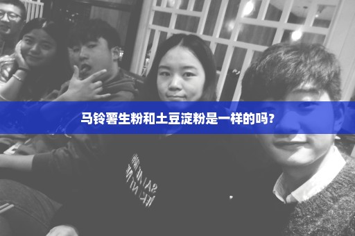 马铃薯生粉和土豆淀粉是一样的吗？