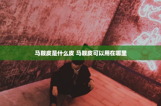 马鞍皮是什么皮 马鞍皮可以用在哪里