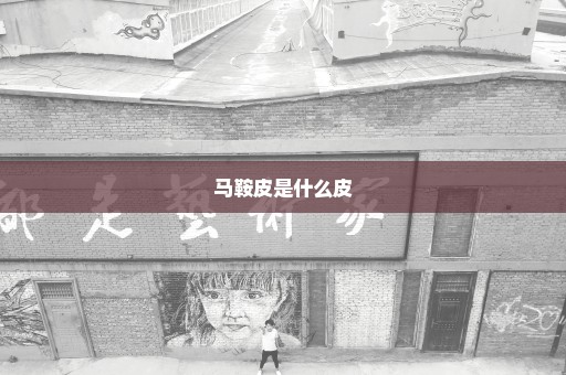 马鞍皮是什么皮
