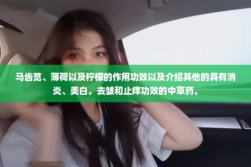 马齿苋、薄荷以及柠檬的作用功效以及介绍其他的具有消炎、美白。去皱和止痒功效的中草药。