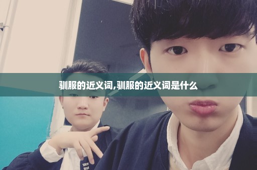 驯服的近义词,驯服的近义词是什么