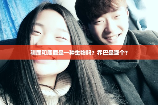 驯鹿和麋鹿是一种生物吗？乔巴是哪个？