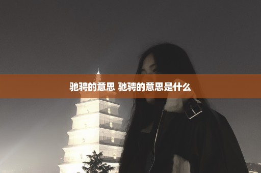 驰骋的意思 驰骋的意思是什么