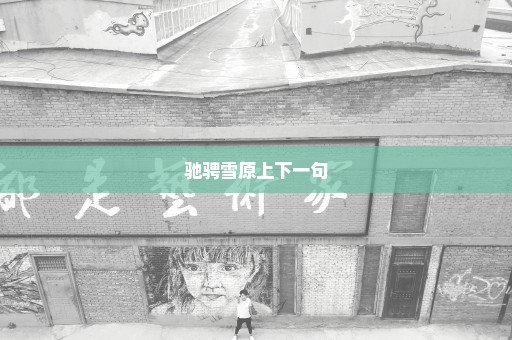驰骋雪原上下一句