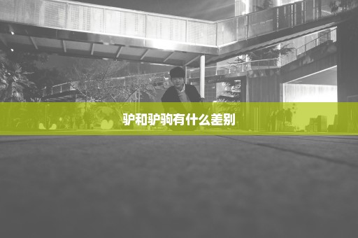 驴和驴驹有什么差别