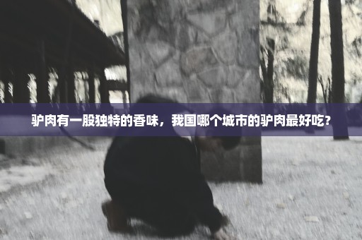 驴肉有一股独特的香味，我国哪个城市的驴肉最好吃？