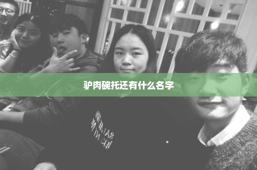 驴肉碗托还有什么名字