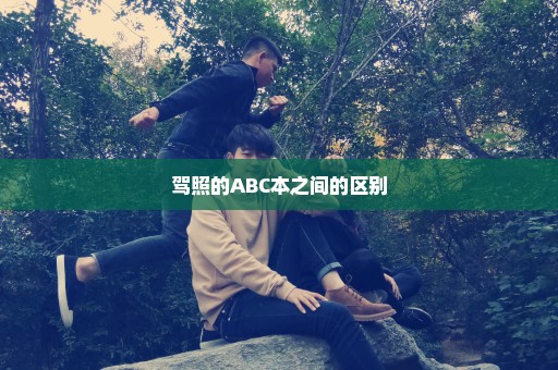 驾照的ABC本之间的区别