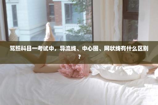 驾照科目一考试中，导流线、中心圈、网状线有什么区别？