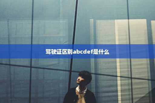 驾驶证区别abcdef是什么