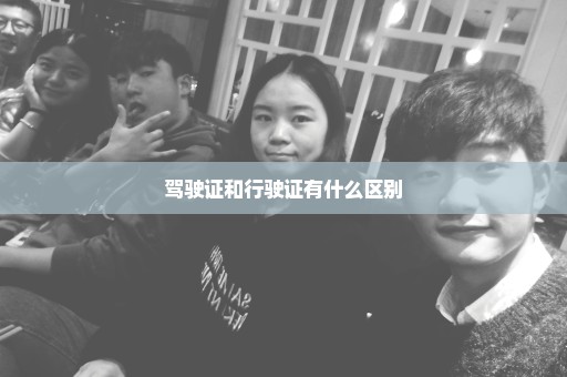 驾驶证和行驶证有什么区别