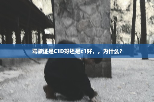 驾驶证是C1D好还是c1好，，为什么？