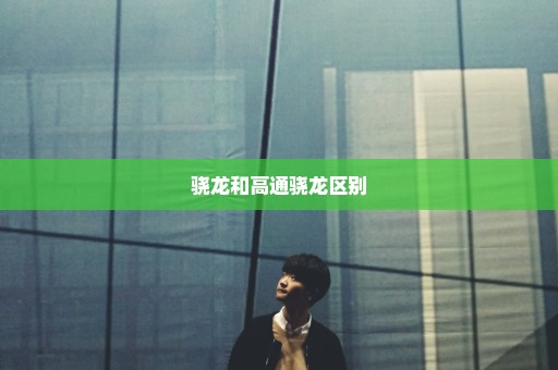 骁龙和高通骁龙区别