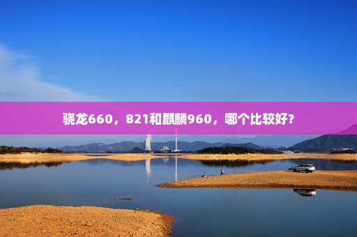 骁龙660，821和麒麟960，哪个比较好？