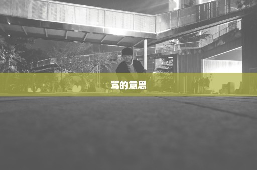 骂的意思
