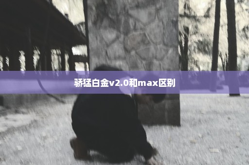 骄猛白金v2.0和max区别
