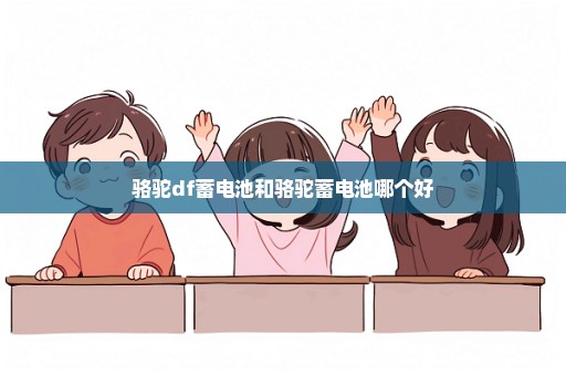 骆驼df蓄电池和骆驼蓄电池哪个好