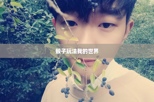 骰子玩法我的世界