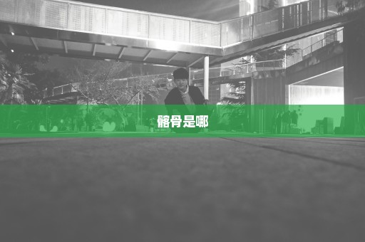 髂骨是哪
