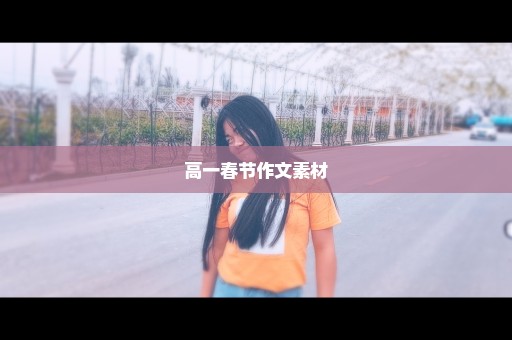 高一春节作文素材