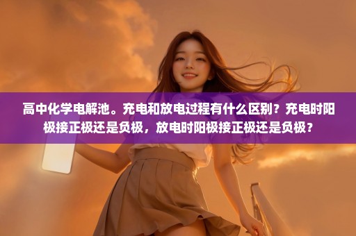 高中化学电解池。充电和放电过程有什么区别？充电时阳极接正极还是负极，放电时阳极接正极还是负极？