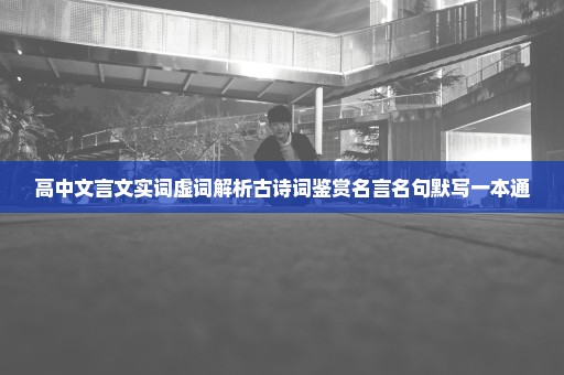 高中文言文实词虚词解析古诗词鉴赏名言名句默写一本通