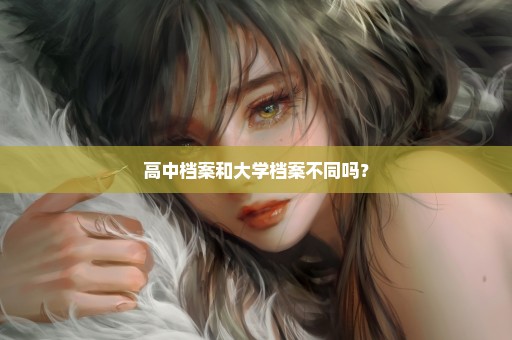 高中档案和大学档案不同吗？
