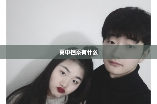 高中档案有什么
