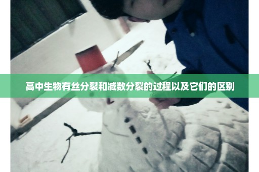 高中生物有丝分裂和减数分裂的过程以及它们的区别