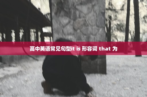 高中英语常见句型it is 形容词 that 为