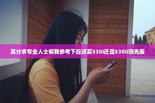 高分求专业人士帮我参考下应该买330i还是530li领先版