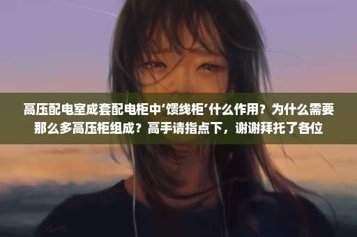 高压配电室成套配电柜中‘馈线柜’什么作用？为什么需要那么多高压柜组成？高手请指点下，谢谢拜托了各位
