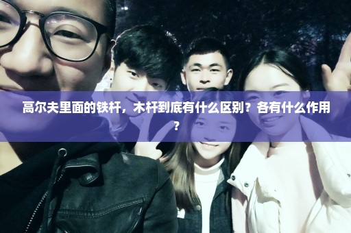 高尔夫里面的铁杆，木杆到底有什么区别？各有什么作用？