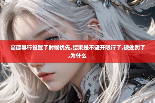 高德导行设置了时候优先,结果是不壁开限行了,被处罚了,为什么
