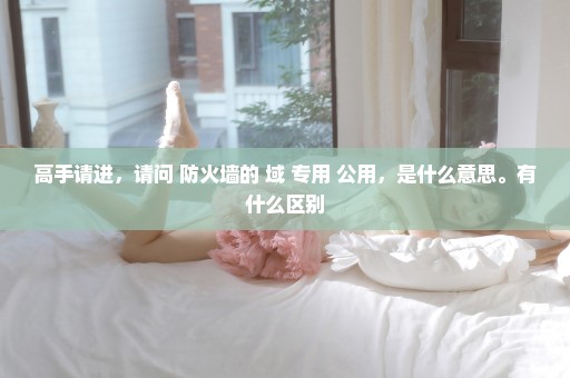 高手请进，请问 防火墙的 域 专用 公用，是什么意思。有什么区别