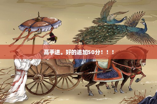 高手进。好的追加50分！！！