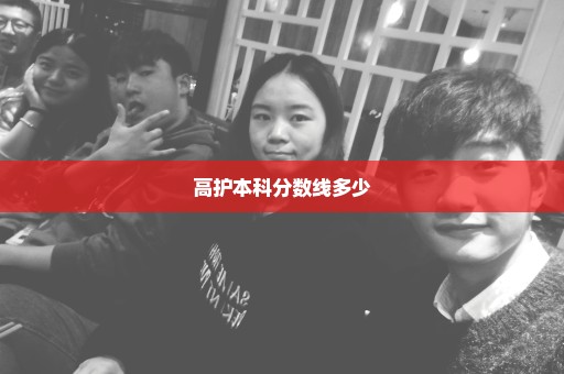 高护本科分数线多少